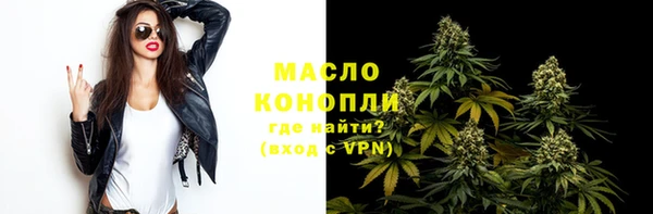 гашик Медногорск