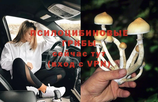 кокс Медвежьегорск