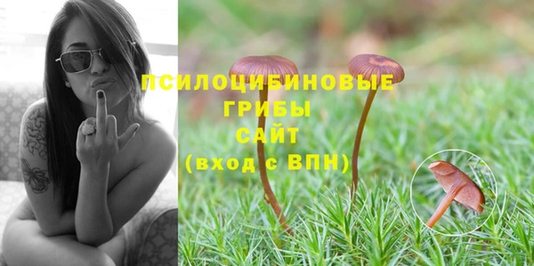 гашик Медногорск