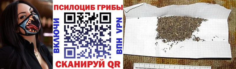 Псилоцибиновые грибы ЛСД  гидра сайт  Кочубеевское 